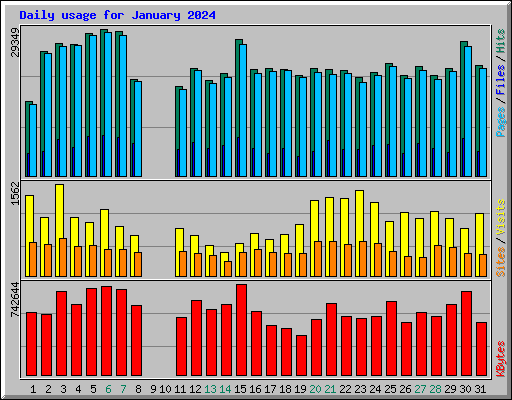 Daily usage for January 2024