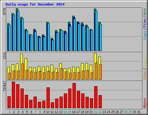 Daily usage for December 2024