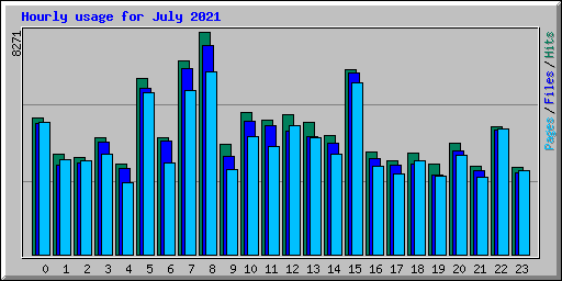 Hourly usage for July 2021