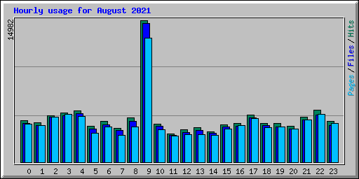 Hourly usage for August 2021