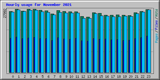 Hourly usage for November 2021