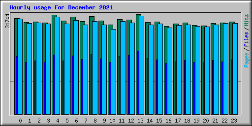 Hourly usage for December 2021