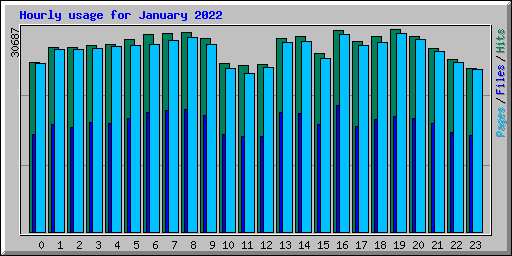 Hourly usage for January 2022