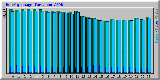 Hourly usage for June 2023