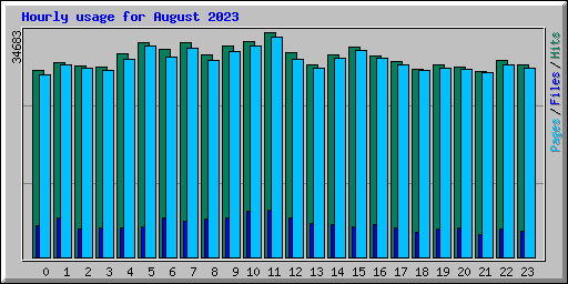 Hourly usage for August 2023