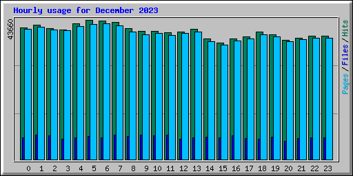 Hourly usage for December 2023