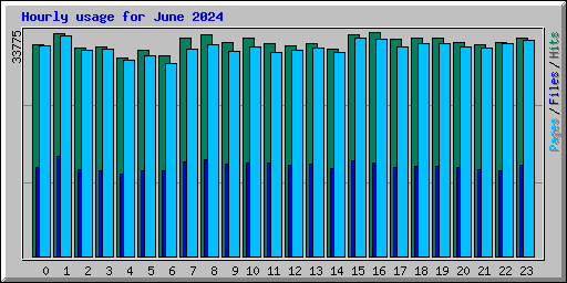 Hourly usage for June 2024