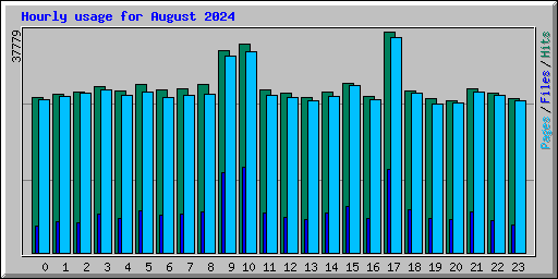 Hourly usage for August 2024