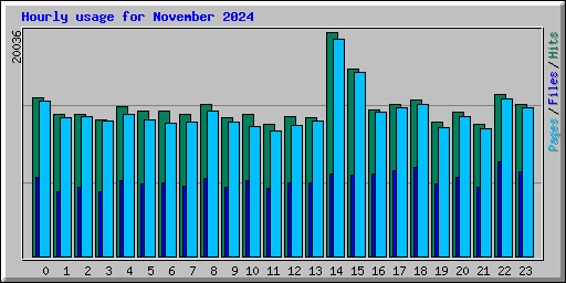 Hourly usage for November 2024