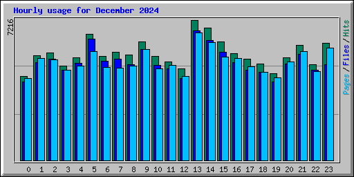 Hourly usage for December 2024