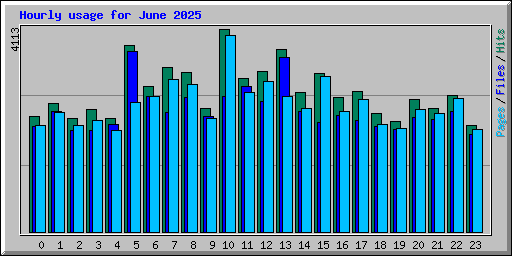 Hourly usage for June 2025
