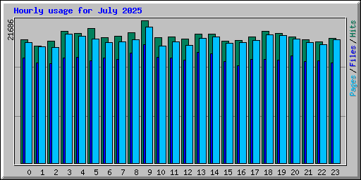 Hourly usage for July 2025