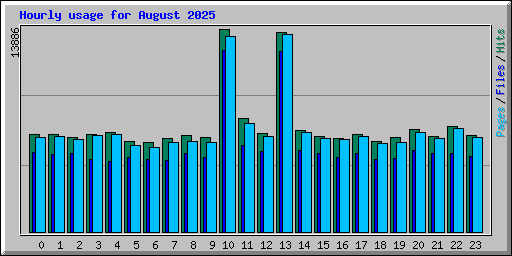 Hourly usage for August 2025