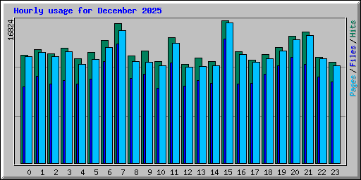 Hourly usage for December 2025