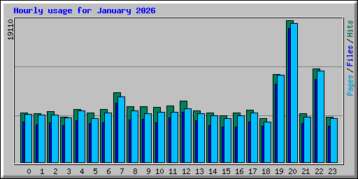 Hourly usage for January 2026
