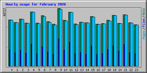 Hourly usage for February 2026