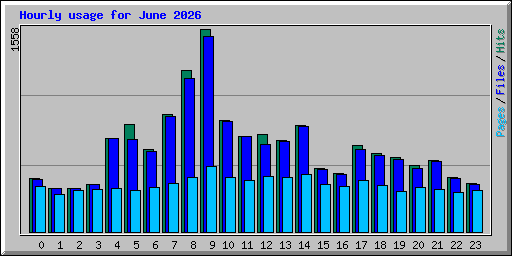 Hourly usage for June 2026
