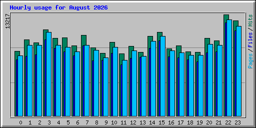 Hourly usage for August 2026